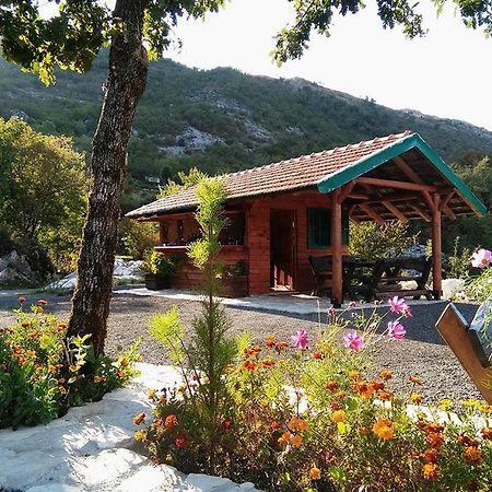 Camp Oaza,Lipa Cetinje Exterior foto