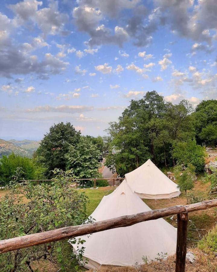 Camp Oaza,Lipa Cetinje Exterior foto