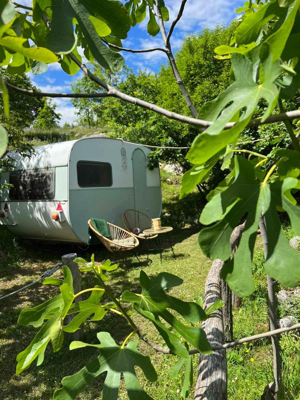 Camp Oaza,Lipa Cetinje Exterior foto