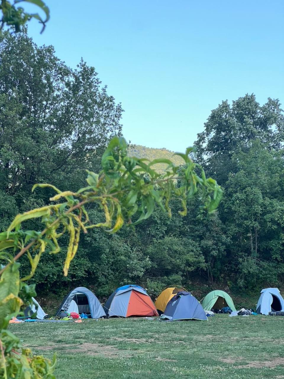 Camp Oaza,Lipa Cetinje Quarto foto
